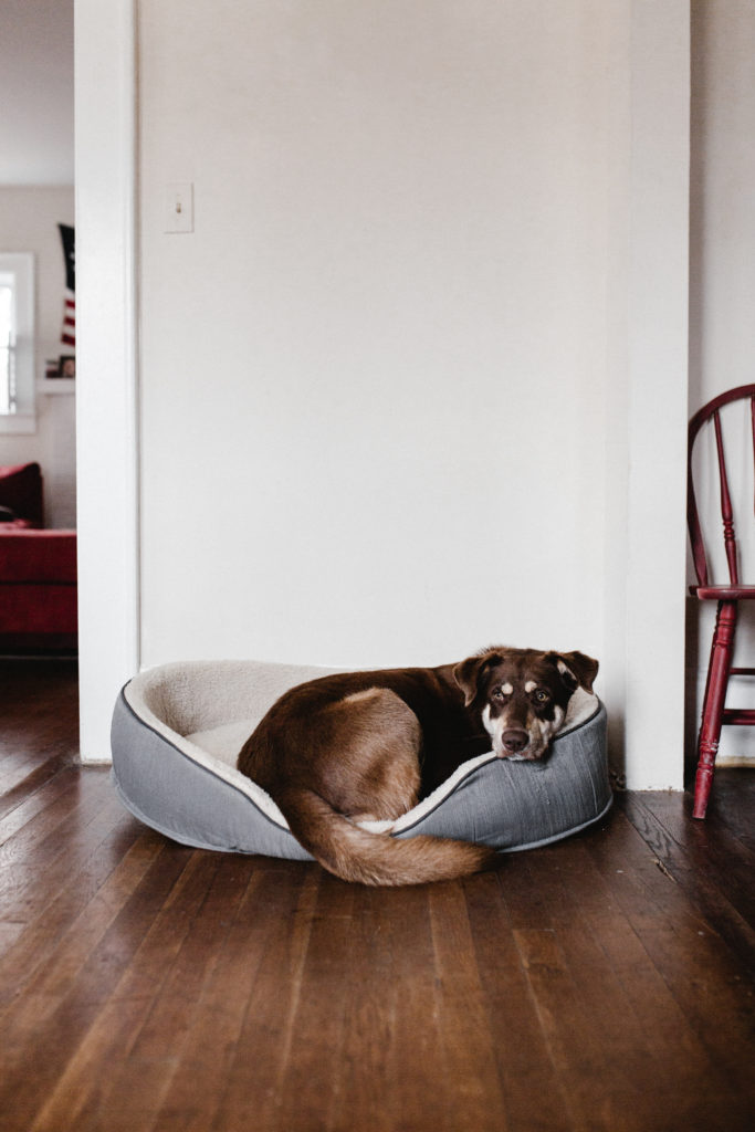 Wooden floors for the whole family